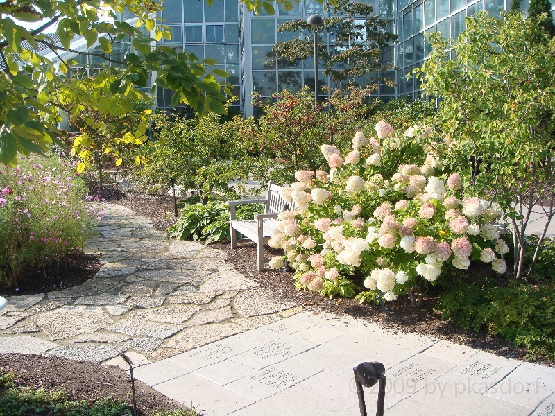 Western Michigan [2009] 203.JPG - Scenes from Frederik Meijer Gardens & Sculpture Park.